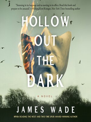 cover image of Hollow Out the Dark